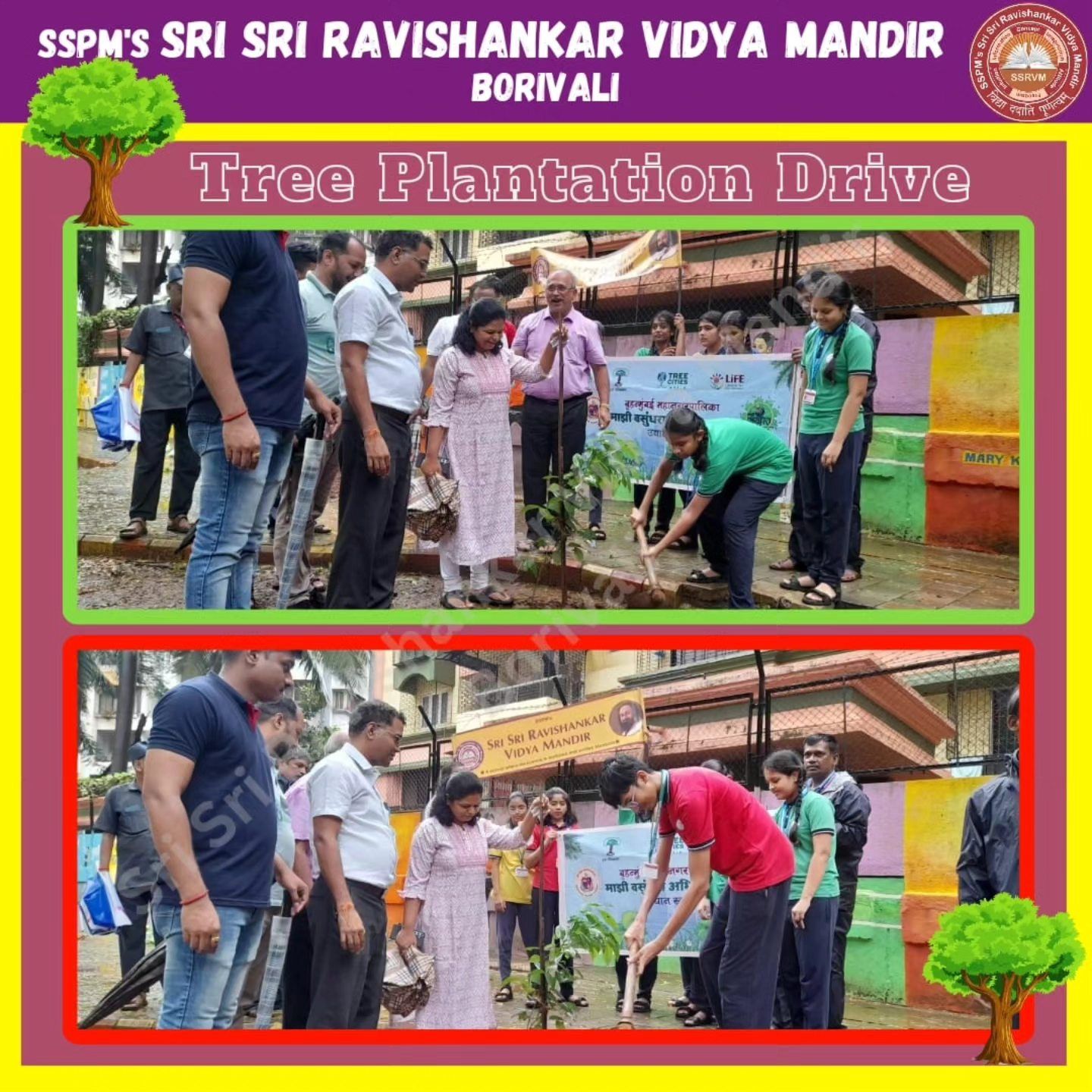 Gratitude Week - Tree Plantation